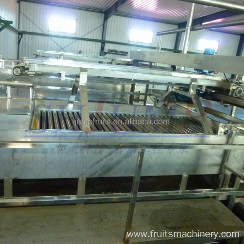 Industrial fruit and vegetable washing and drying machine